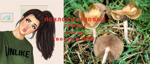 МДПВ Богданович