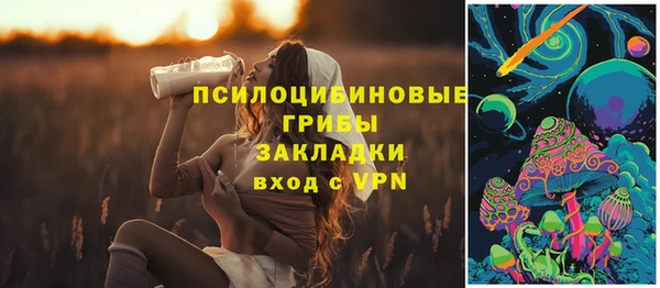 меф Бородино